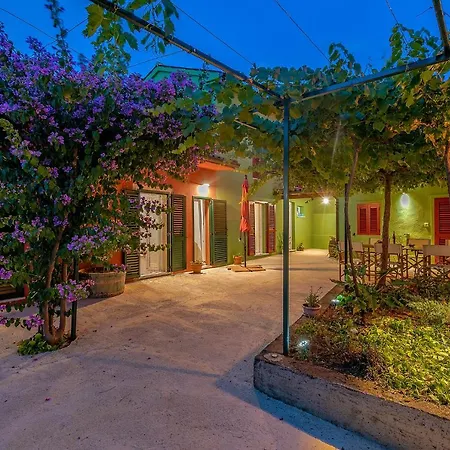 House Bougainvillea 풀라