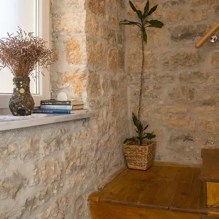 House Bougainvillea * 풀라