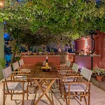 House Bougainvillea