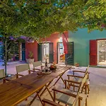 House Bougainvillea