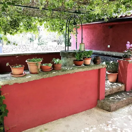 House Bougainvillea Сasa de vacaciones *