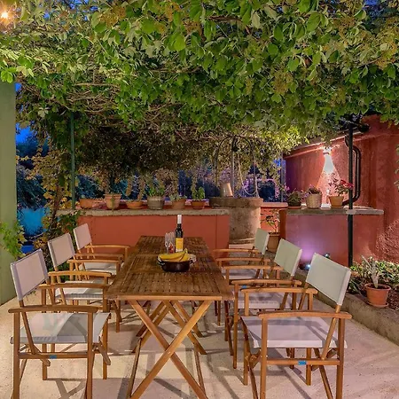 House Bougainvillea