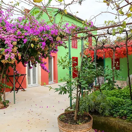 House Bougainvillea Сasa de vacaciones Pula