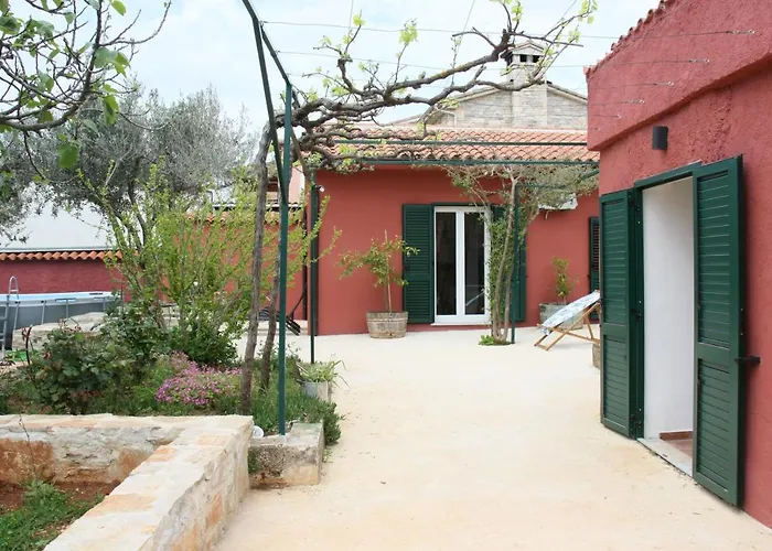 House Bougainvillea