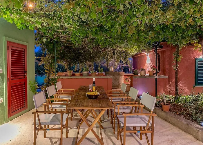 House Bougainvillea