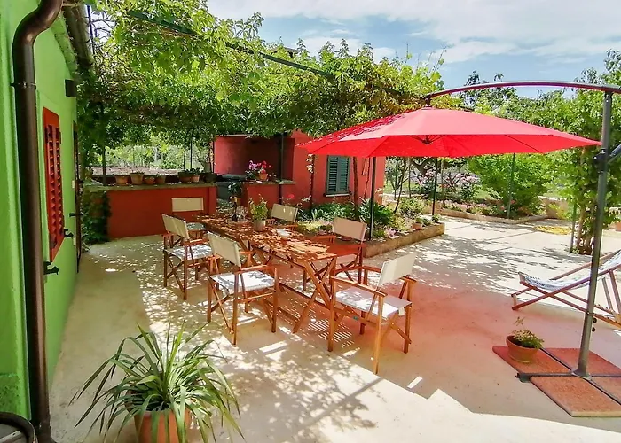 House Bougainvillea